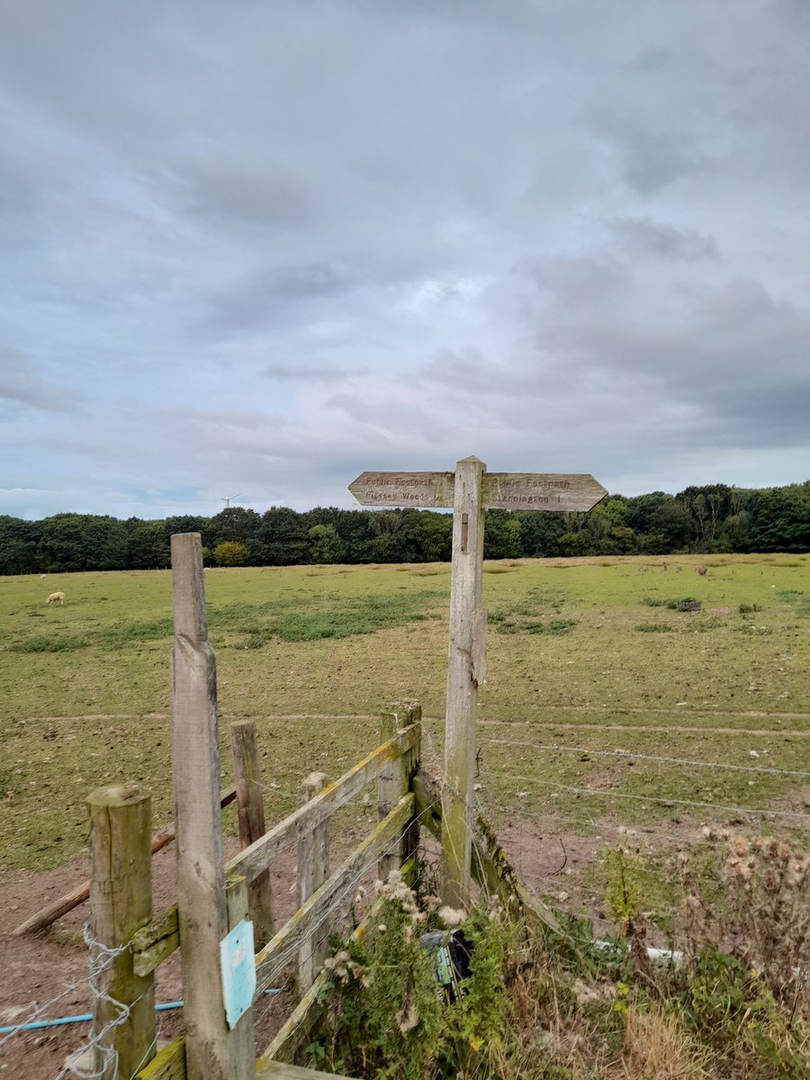 Evening walk with the girls, good to get some fresh air and catch up. Day 18 #AHPsActive