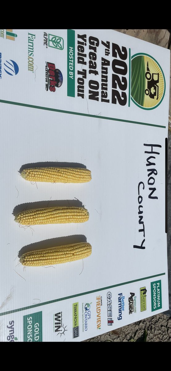Wmitch99's tweet photo. North east corner of Huron cty it has been tad bit dry there #onyield tour @alpinepfl @FarmsMarleting https://t.co/gJu4nfoedL