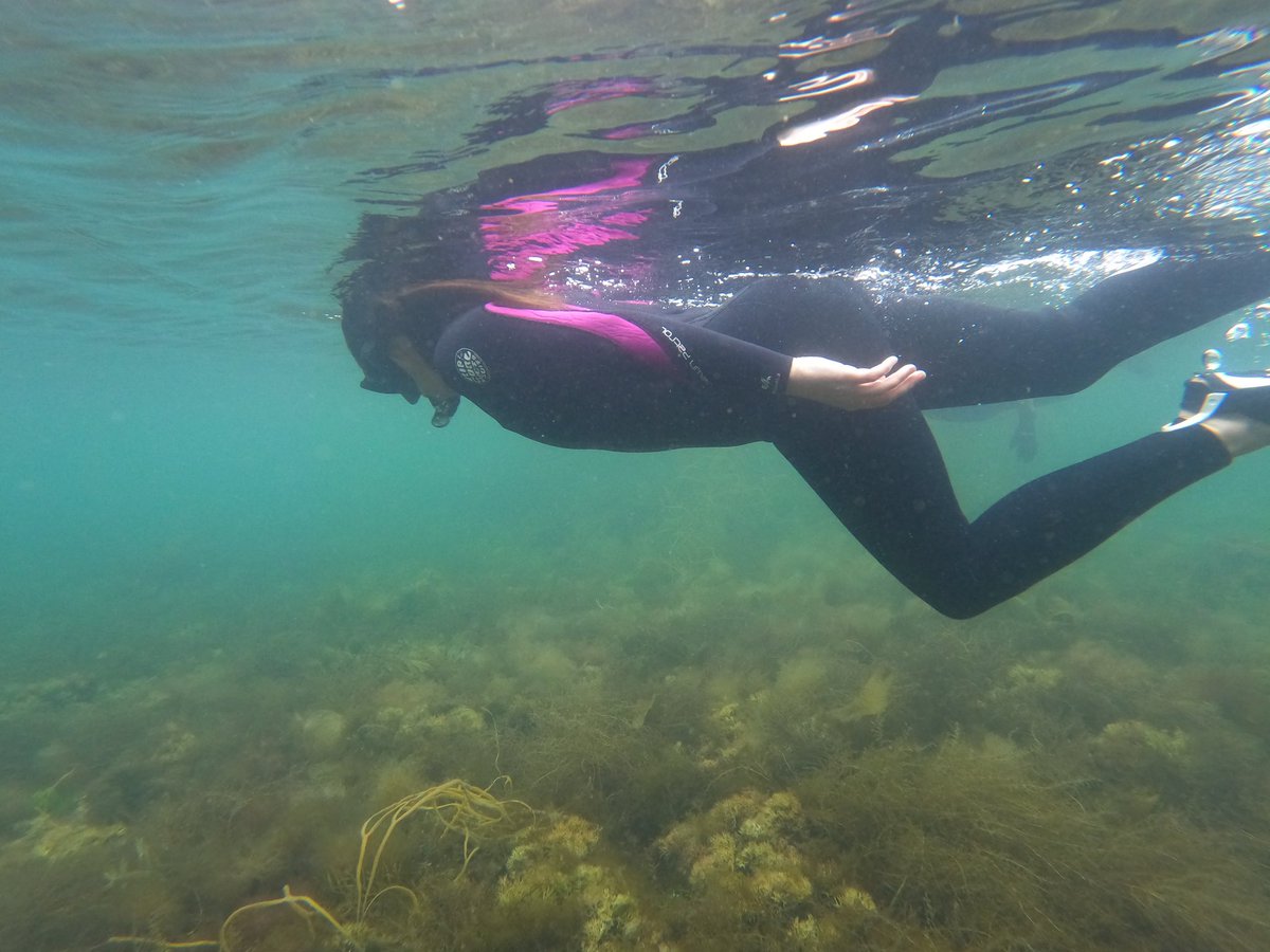 Another amazing <a href="/TonicoftheSea/">tonicofthesea</a> snorkelling for well-being social prescribing session today! Grey and cloudy above but super beautiful below! #mindfulness #health #snorkelingtrip #tonicofthesea #NHS #socialprescribing #snorkelling #bluehealth #Cornwall