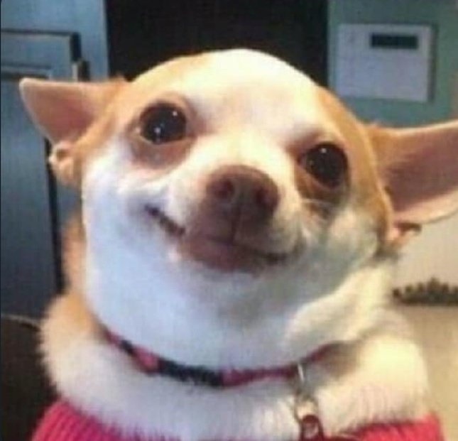 غـزل♪⁩ tweet media