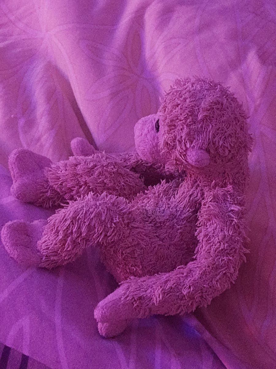 DerCharlieAffe's tweet photo. Als Betthupferle gibt's nix schöneres als noch ne Folge LBH nachgucken. Hier: Folge 1227 mit tuuuuhlem Ausblick auf den Steinkreis.
Mal gucken, was der Koala für die Eulerei zusammenbastelt...🦉

Bist zurzeit wieder unser Abendprogramm, @dagilp_lbh 🐵💛 https://t.co/WVaFqVAblC