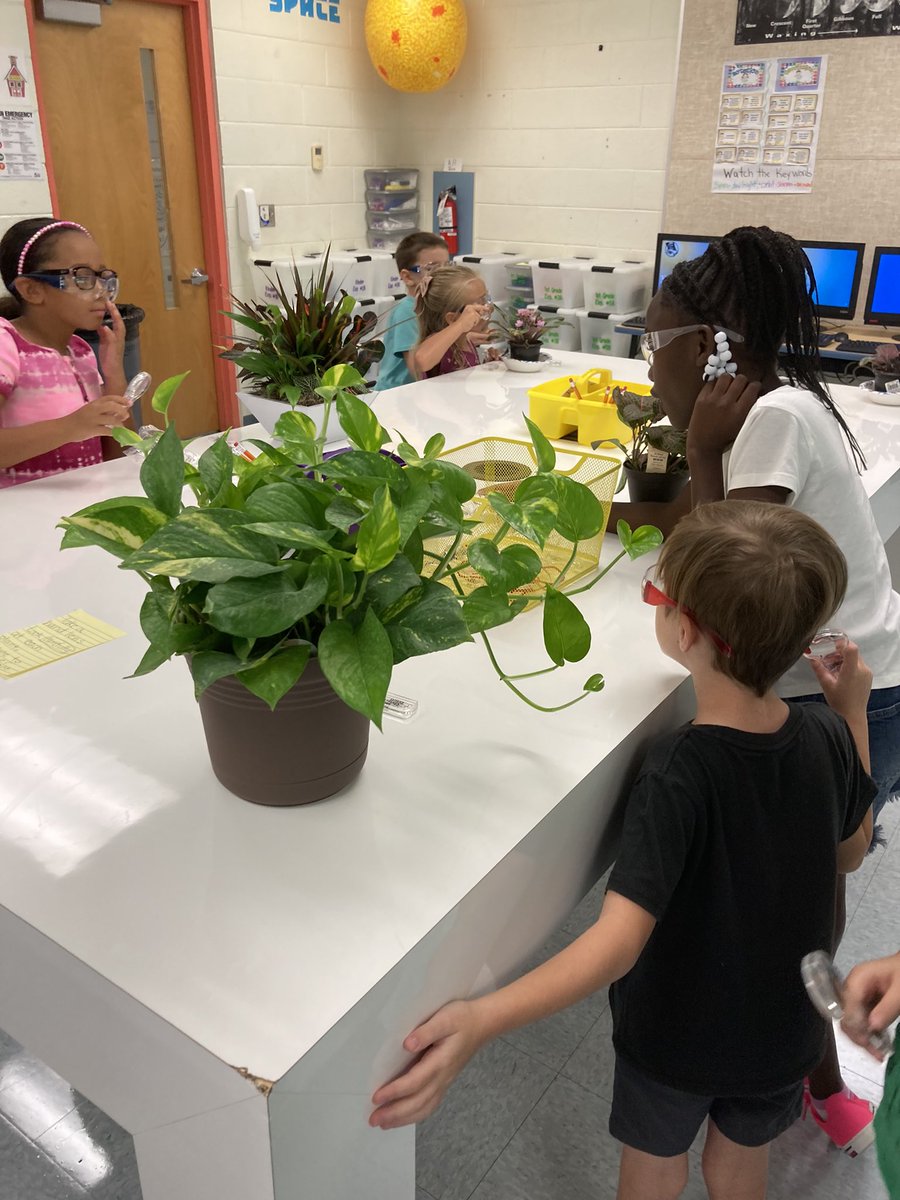 First visit to the <a href="/TimbercrestElem/">Timbercrest Elementary School</a> science lab! #vcsscientists