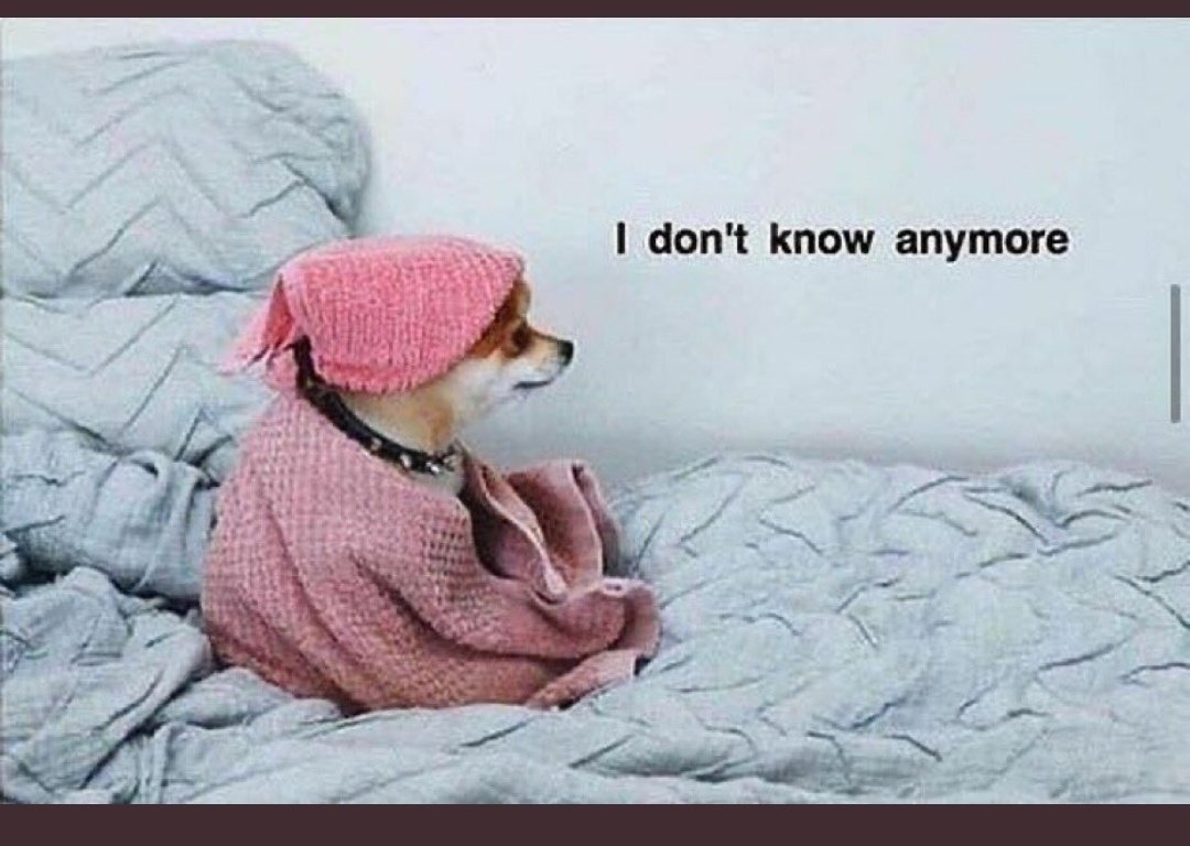 Usinkhangwe_'s tweet photo. #90DaysFiance https://t.co/wBhAcJ14De