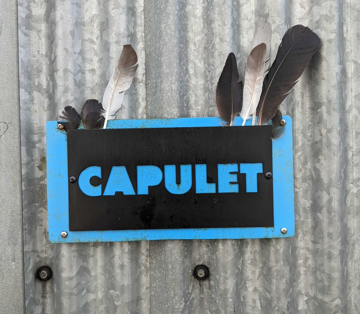 Darren Barefoot tweet media