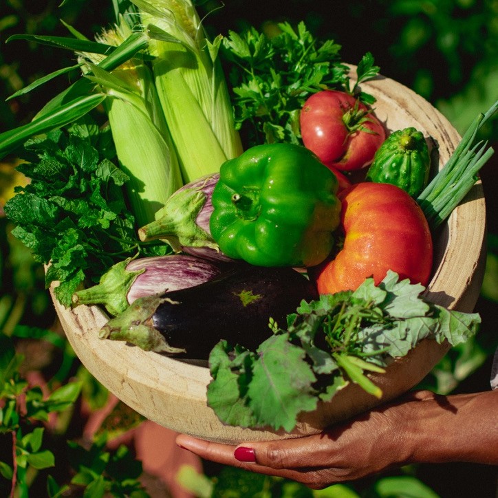 Navigil_FI's tweet photo. Planting Happiness🌻
Gardening is a perfect choice for those who like to be outside and get their hands a little dirty. It can also reduce the risk of Alzheimer’s and related forms of dementia. ⬇️ 
https://t.co/2oOzuUUu0f
#ShareAndCare #Navigil #Gardening #SeniorGardening https://t.co/RpnPaNfx6s