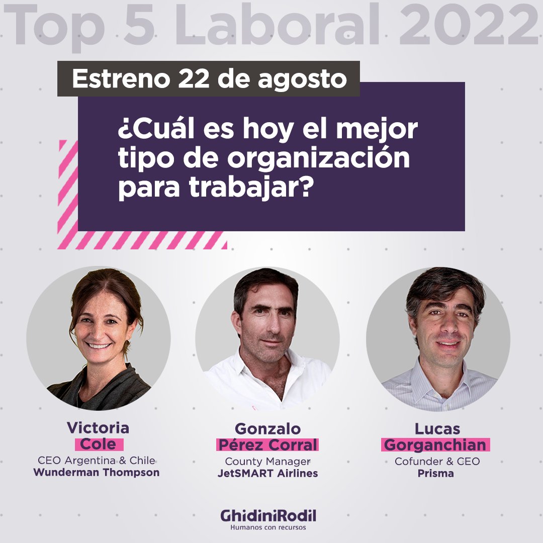 ghidinirodil tweet media