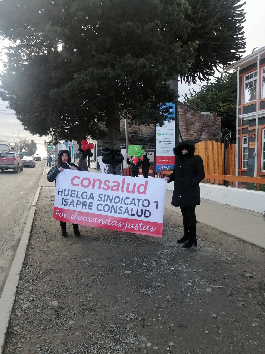 austral patagona tweet media
