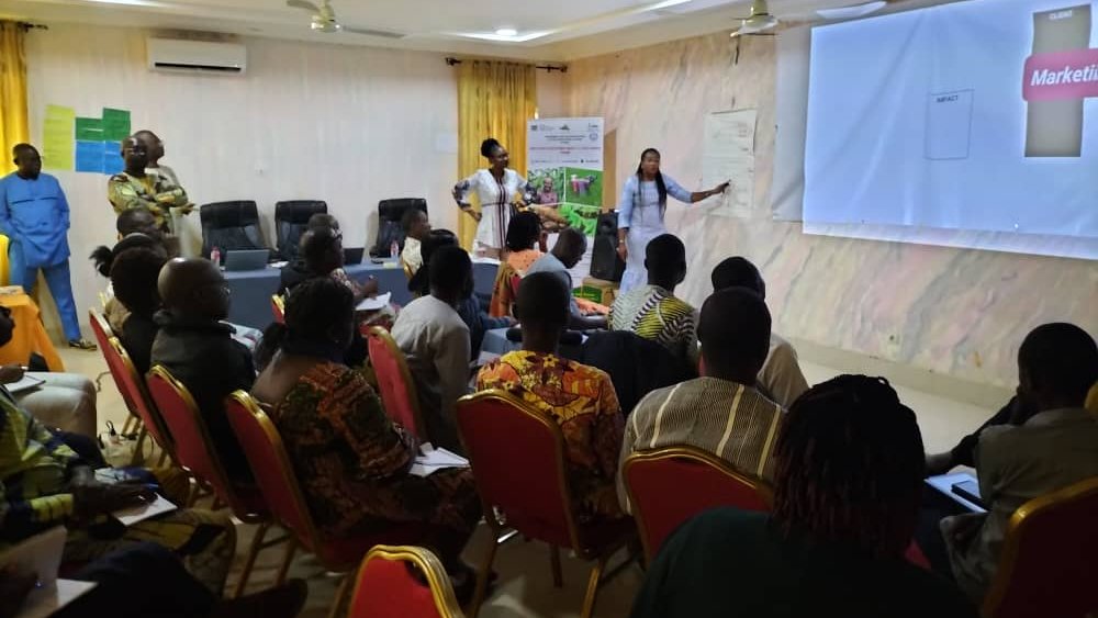 IFDCNWAF's tweet image. Comment développer les relations d’affaire avec les populations les plus défavorisées se trouvant à la « base de la pyramide » (BoP). Les participants ont échangé sur les innovations @SCALE_2 au Bénin et au Mali et leurs impacts sur les ventes.
@FAO @IFDCBenin #PADAAM
@IFDCGlobal
