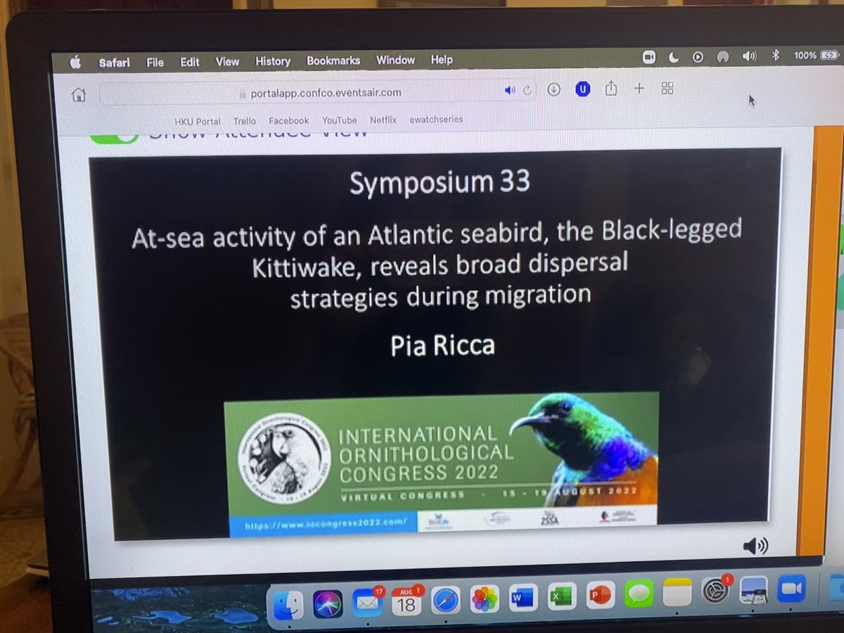 Pia_Ricca's tweet photo. Just finished my talk and the live Q&amp;A at @io_congress #IOCongress2022 ! Thanks to the participants for attending and all my fellow panelists for such an interesting discussion on the importance of the full annual cycle for migratory bird conservation. https://t.co/hePEy1wczO