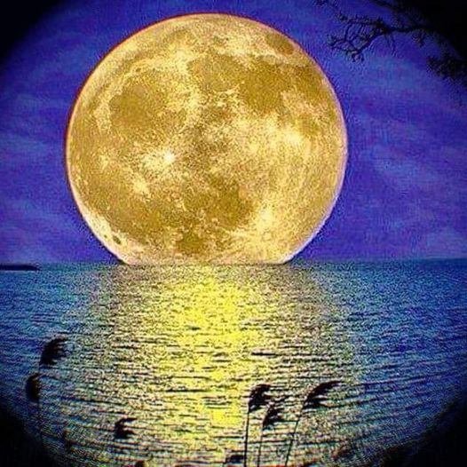 dr.Báthory (@szimonettb) on Twitter photo 