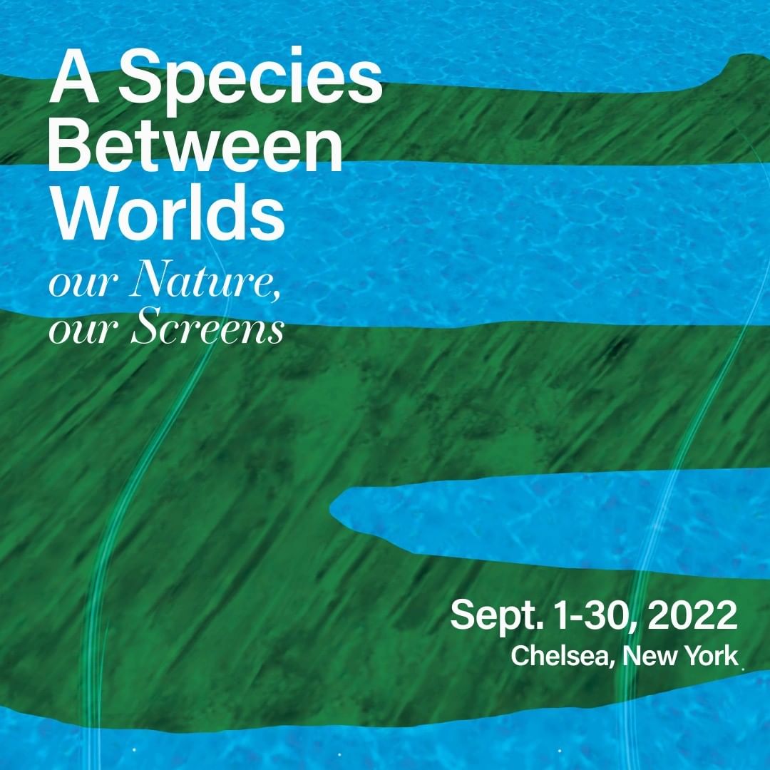 Life Calling tweet media