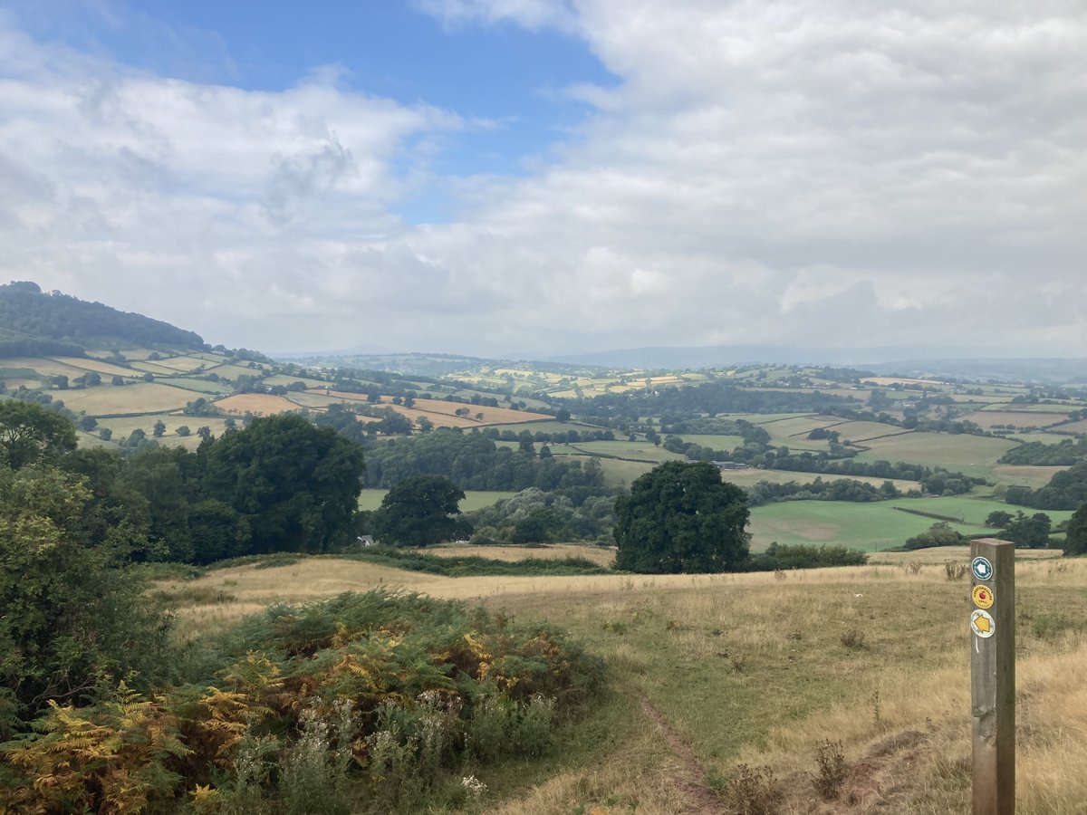TakasakiAndy's tweet photo. A morning walk from Kilpeck to Dore Abbey on the #HerefordshireTrail The climb up Galway Hill was much easier than expected. The worst bit was having to make my way through a jungle of brambles at one stage. 7 routes down, 8 more to go. #FollowTheApple https://t.co/QOOxJaMRir