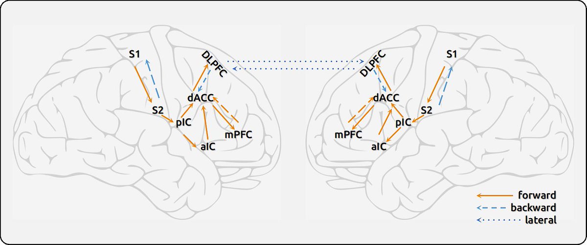 pain_imaging's tweet photo. Happy to announce our new publication on chronic migraine: "Investigation on How Dynamic Effective Connectivity Patterns Encode the Fluctuating Pain Intensity in Chronic Migraine". Thank you very much to my coauthors @Igbssz @Frederikvds_ @dan_marinazzo
https://t.co/jRcaxfF2DR https://t.co/Kq6QRFzUUQ