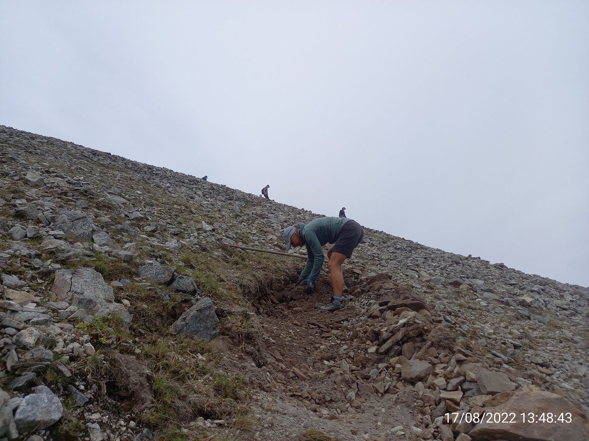 Croagh Patrick Path Team tweet media
