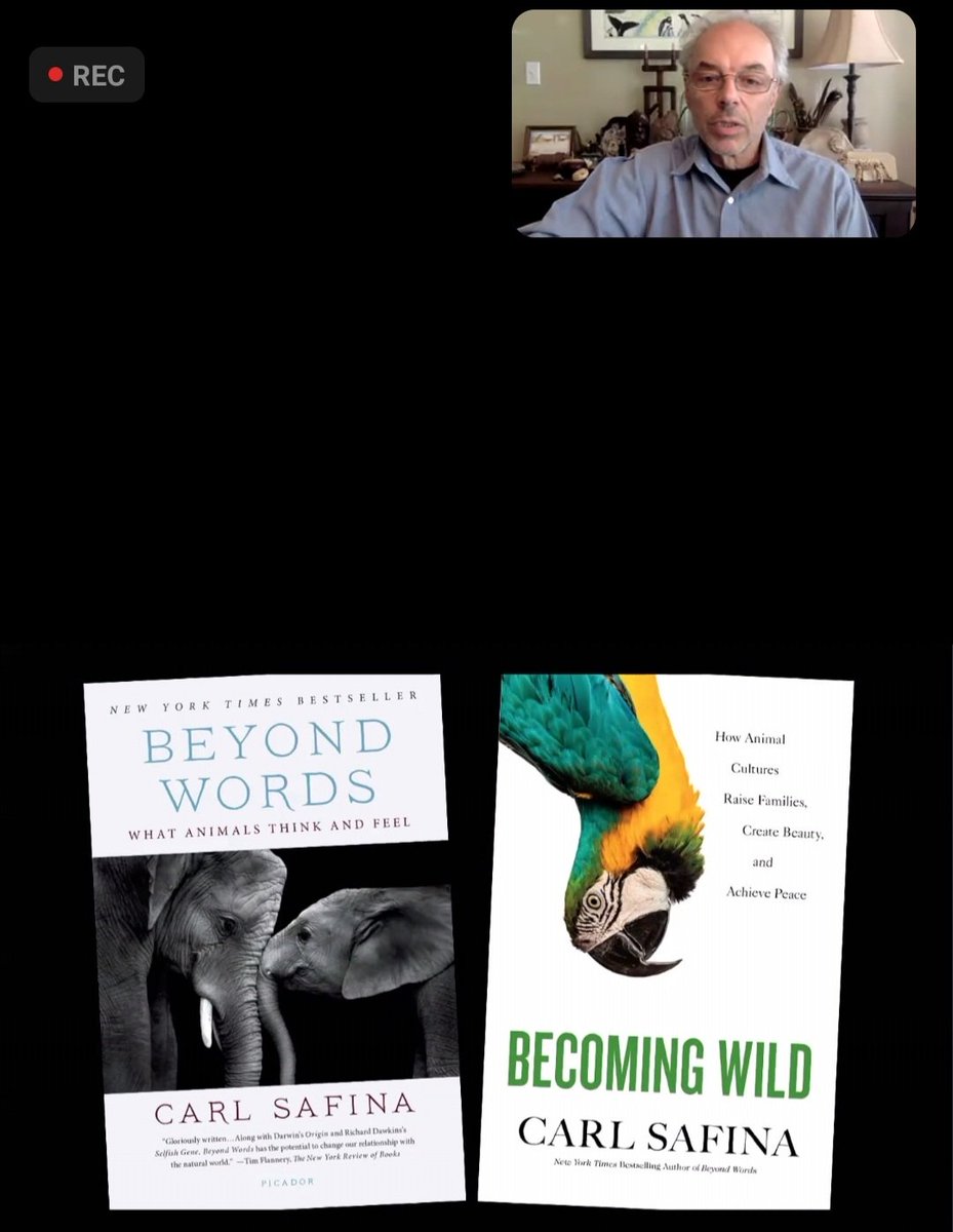 Jessie Comba (she/her) tweet media