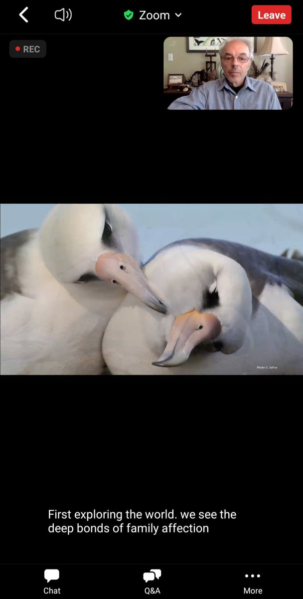 Jessie Comba (she/her) tweet media