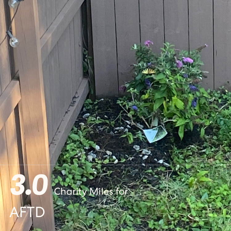 kerri0413's tweet photo. #aftd #charitymiles #formydaddy https://t.co/j69OPoTak1