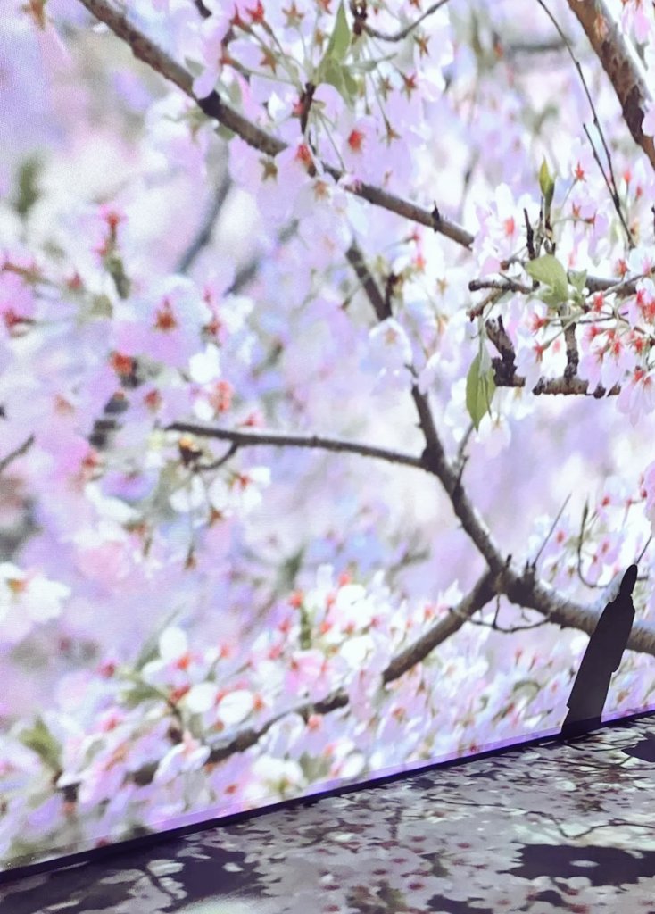 Obrother6's tweet photo. Balade au cœur du Japon mais depuis Paris !! Dédicace à @icijaponcorp @IciJapon et @louis_zenjas qui nous ont donné envie d'aller voir cet expo #jamcapsule #Japon #decouverte https://t.co/UhbJhOMAWI