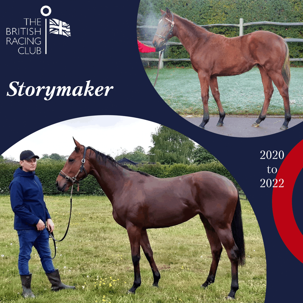 BritRacingClub's tweet photo. From foal to (almost!) fully grown!

Storymaker, our filly in training with Classic winning trainer @gbougheyracing.

George loves her &amp; she has been a favourite of @lukelillingston since he first laid eyes on her...

Join today &amp; be a part of her journey! https://t.co/7hRB6u2Lbj https://t.co/IEX2NGQHHM
