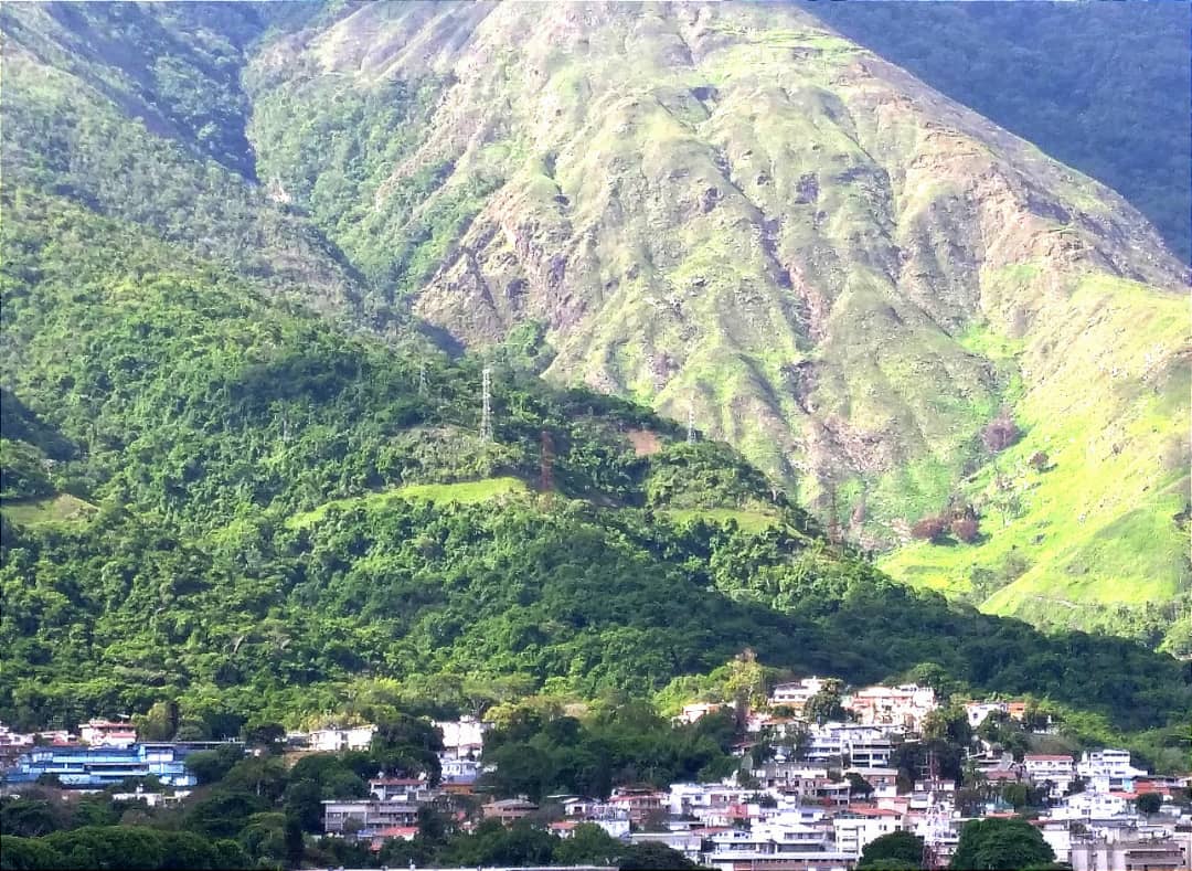 fundhea's tweet photo. #SOS posible invasión en nuestro parque nacional El Ávila entre el Marqués y Quebrada Galindo. Se evidencia conucos cercanos
@InparquesVzla 
@GRLaJulia @cerroelavilacom @avila_extremo @AvilaProyecto 
Ayuden a difundir... https://t.co/NU7yIs1ovQ