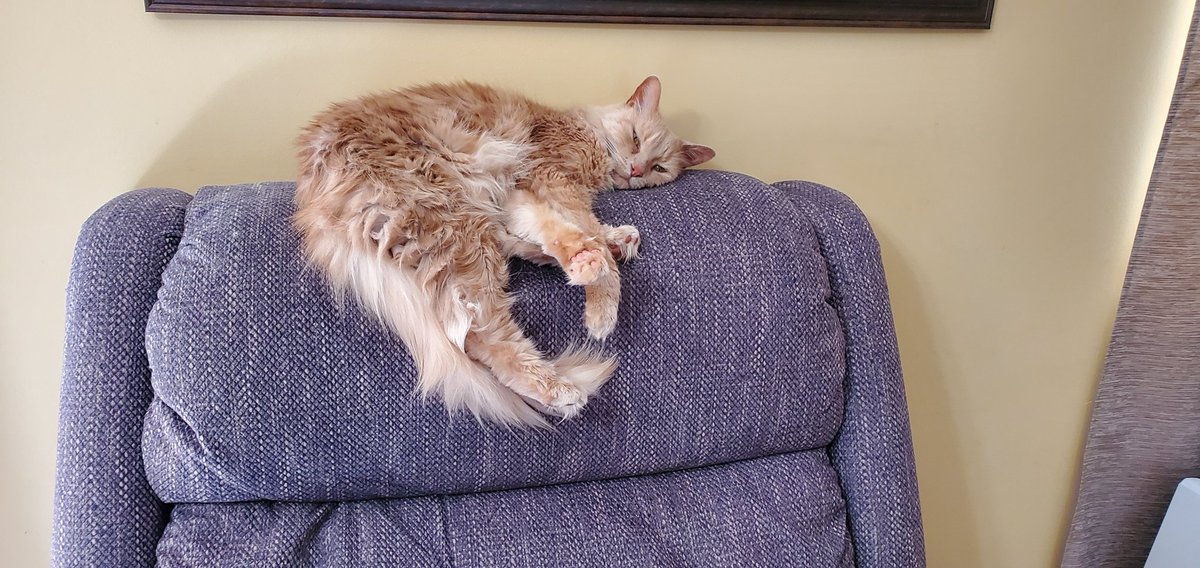 Chatting is tiresome work.