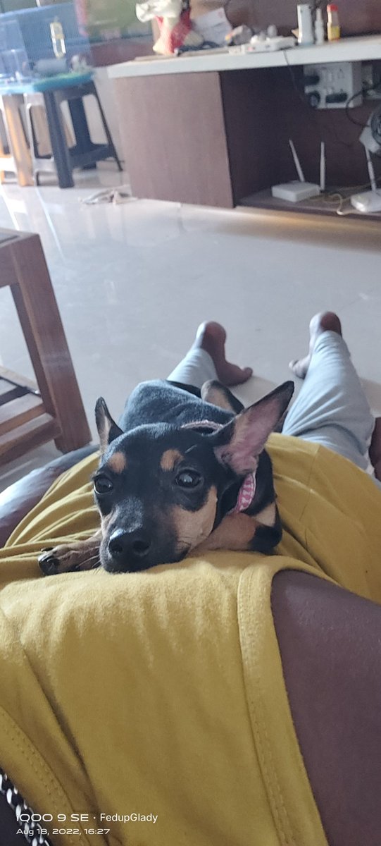 fedup_glady's tweet photo. This is not what I expected in my Back 🥲🤣🐶 https://t.co/XPdvSkPIff