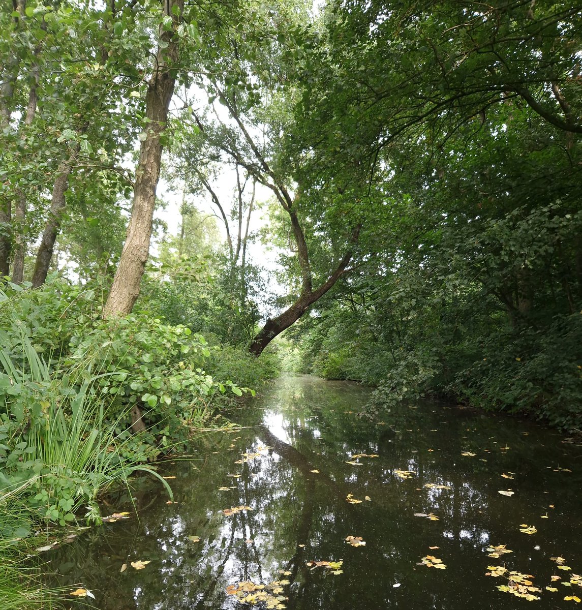 MasdelaBarque's tweet photo. #IJsselstein / Foto (c) W.O. 👍 https://t.co/Kidzjrtsz8
