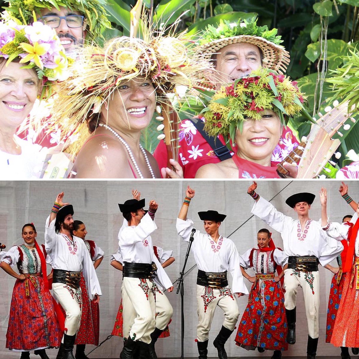 Ajuntament de Sils tweet media