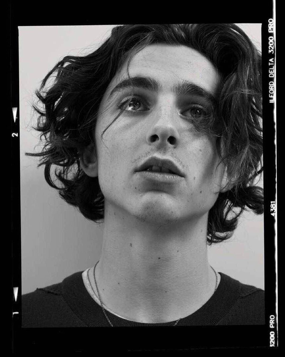 FadHo52UcAAATW9?format=jpg&name=large