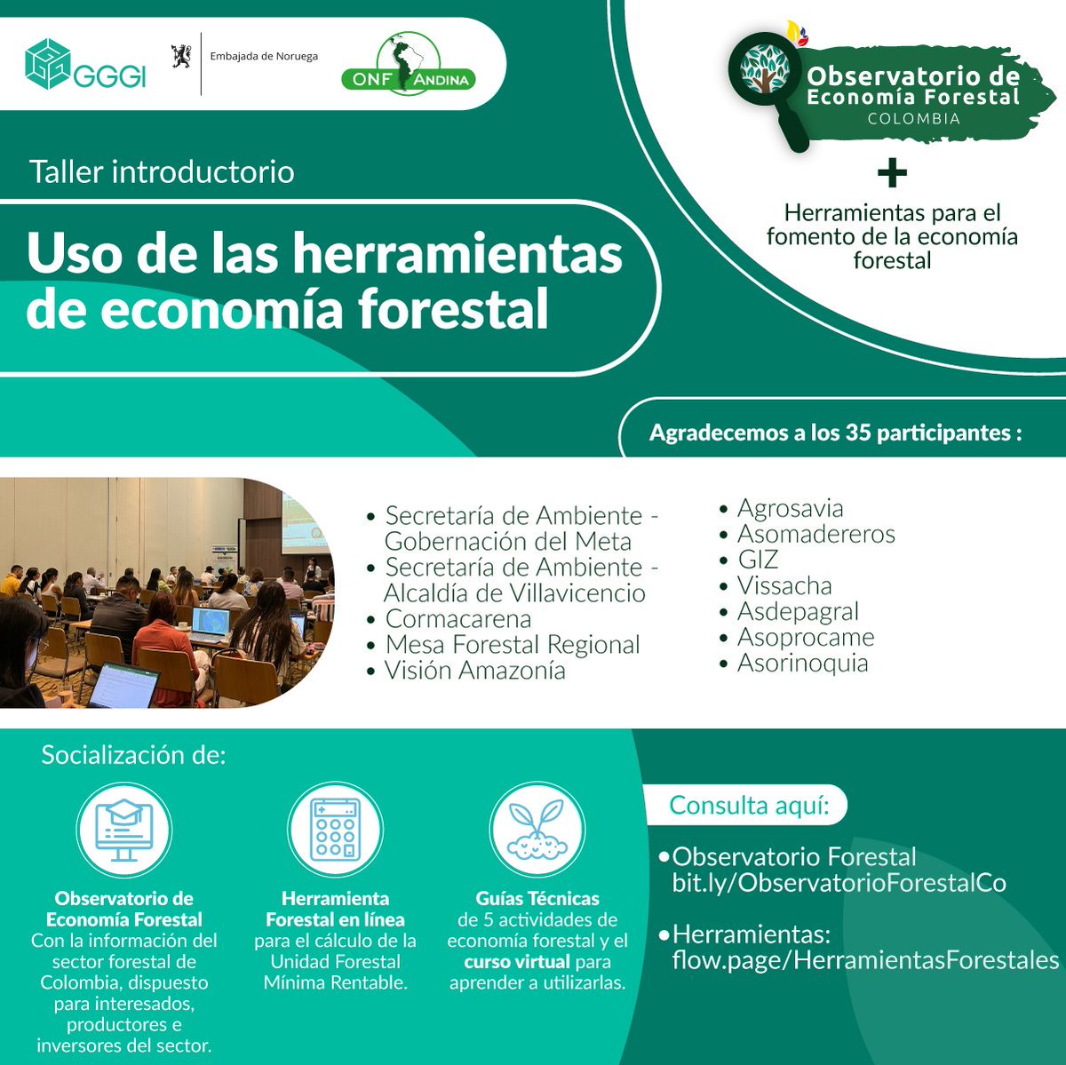 GGGICol's tweet photo. #MetaCreceVerde | ¡Fortalecimos las capacidades en #EconomíaForestal del Meta!
Agradecemos a los 3⃣5⃣ reps. de gob., entidades ambientales y aliadas por su interés en conocer y promover las herramientas creadas con @MinAmbienteCo, @ONFAndina y @NoruegaenCOL.🌳
#ColombiaCreceVerde https://t.co/GmDMsXXJB0