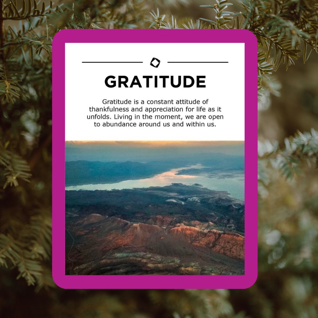 Tonight’s Community Leadership Connection Circle focus: GRATITUDE 🙏 How is a practice of gratitude essential in our personal lives and our community work? Let’s discuss at 5PM EST 🌿