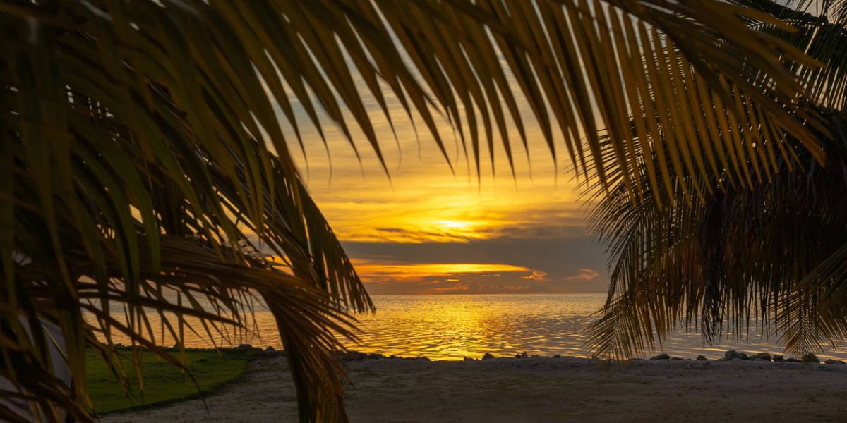aprivateisland's tweet photo. Golden hour in complete serenity. Nothing compares to experiencing a sunset in paradise. Learn how you can personally experience #MyCayoEspanto at the link: https://t.co/1NTKxeWHby https://t.co/InoTblILfA