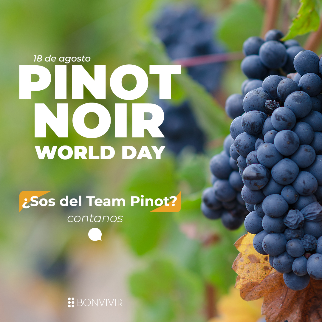 bonvivir's tweet photo. Hoy se festeja el Día Internacional del Pinot Noir, una de las cepas más respetadas y celebradas del planeta. 

Sus vinos son famosos y representativos de la Borgoña con algunas de las botellas más caras del planeta. En 🇦🇷, hay unas 2000 ha cubiertas por el Pinot Noir 🍷. https://t.co/5q7lgwL5g1
