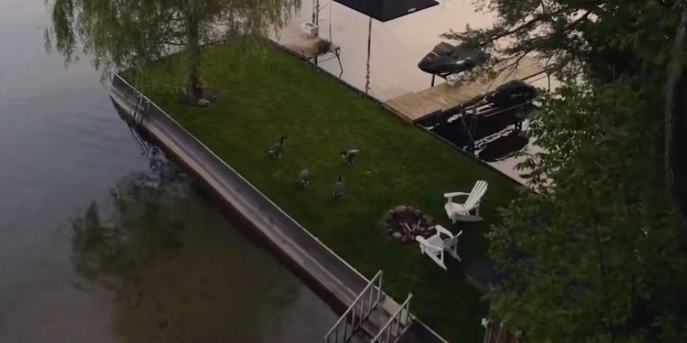 Getting Canada Geese to move on using Artificial Intelligence
#Barrie #SimcoeCounty #CanadaGeese #ArtificialIntelligence #LandscapeDefense Systems
barrie360.com/geese-move-on-…