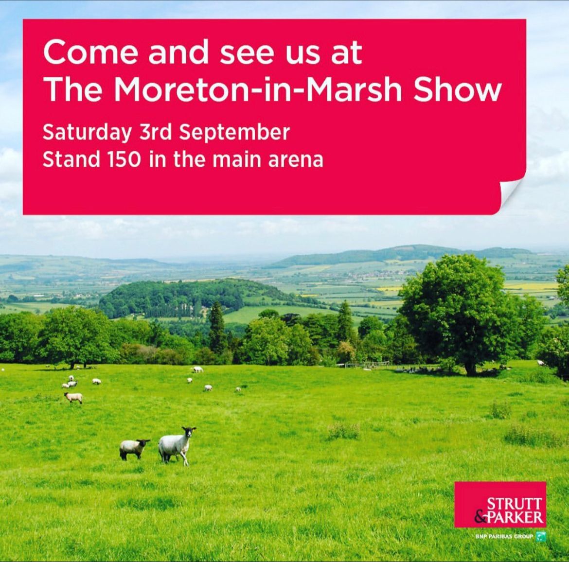 struttsoxford's tweet photo. We are looking forward to seeing friends and clients of @struttandparker at @MoretonShow. One of the biggest one day #agricultural shows in the UK, it is a fabulous day out for all ages.
#realestate #property #moretonshow https://t.co/9tefsjuqXP