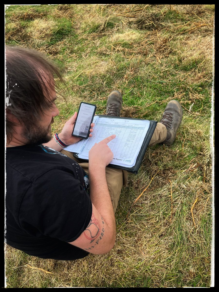 Breaking Ground Heritage tweet media