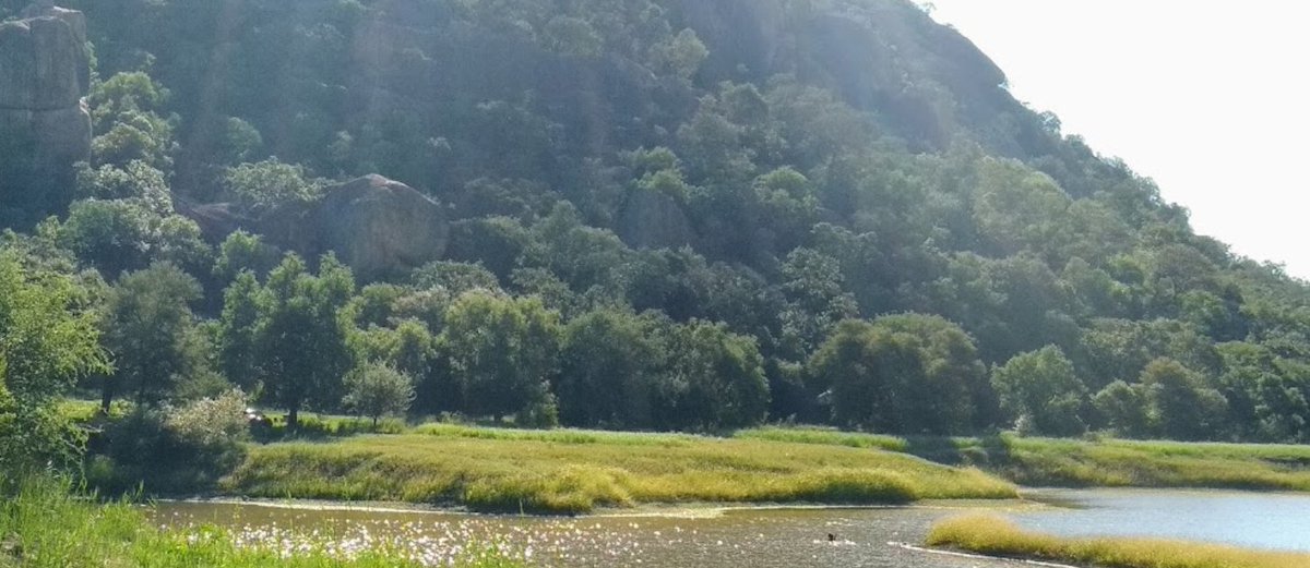 umzamocapital's tweet photo. Matobo National Park in the Matabeleland South province of Zimbabwe
#MatabelelandSouth #TourZim #VisitZimbabwe #TravelZimbabwe #VisitMatabelelandSouth #Zimbabwe https://t.co/YGnDzUjPKy