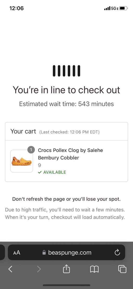 Flowemitch's tweet image. I’ll have kids, my kids will have kids, their kids will have kids, humans will become immortal, and then i will checkout these shoes.