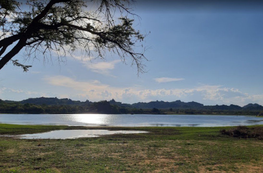 umzamocapital's tweet photo. Matobo National Park in the Matabeleland South province of Zimbabwe
#MatabelelandSouth #TourZim #VisitZimbabwe #TravelZimbabwe #VisitMatabelelandSouth #Zimbabwe https://t.co/8LP1ztLipv