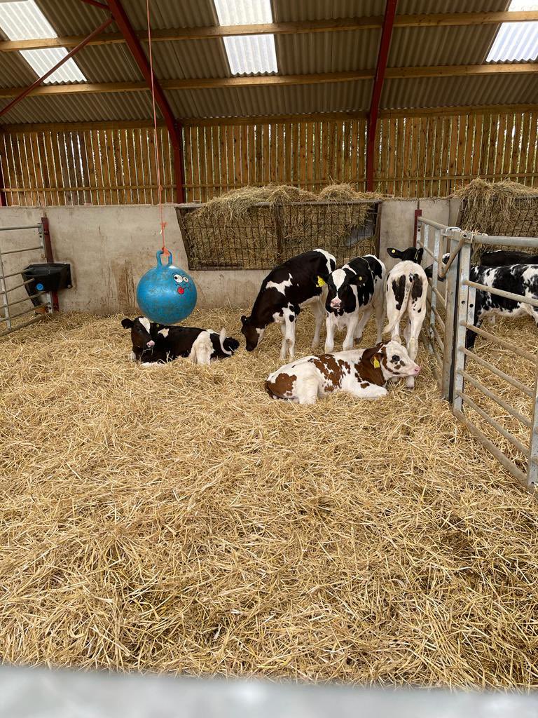 CoopAgriMatters's tweet photo. Great day with our @coopuk dairy group in Shropshire  
Discussing resilient soils and regenerative agriculture 
Big thank you to @FitasFarmrswife and team for hosting! 
🐄🌱🐄

#ItsWhatWeDo https://t.co/jb7QZR1w5g