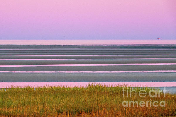 CapeCodSoul tweet picture