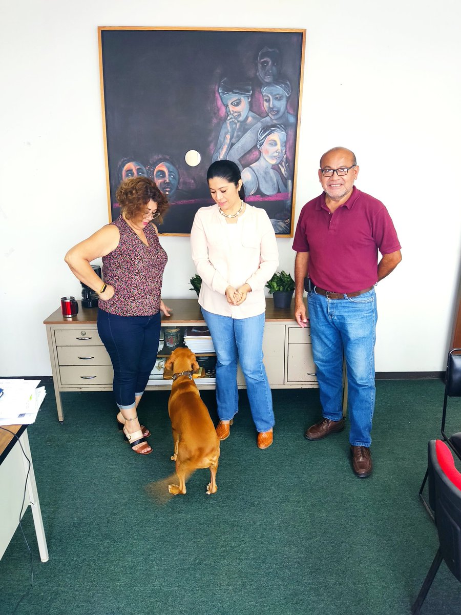 DDHHSEGOB_CAMP's tweet photo. En la Dirección de #DerechosHumanos e #IgualdadSustantiva, recibimos la alegre visita de Sansa en su cumpleaños. #GobiernodeTodos #SecretariadeGobierno https://t.co/08roQG72lr