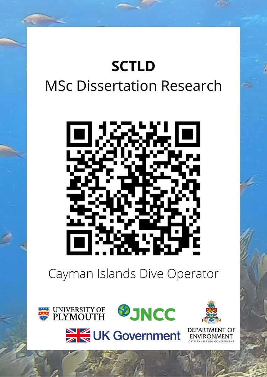 OceanStateSteph's tweet photo. Speaking of my dissertation! I'm wrapping up my final data collection, but there's still time to get involved. If you're a dive operator or diver in Cayman, please take my survey: https://t.co/Qdhx1YRNSh https://t.co/favPJsVTBE