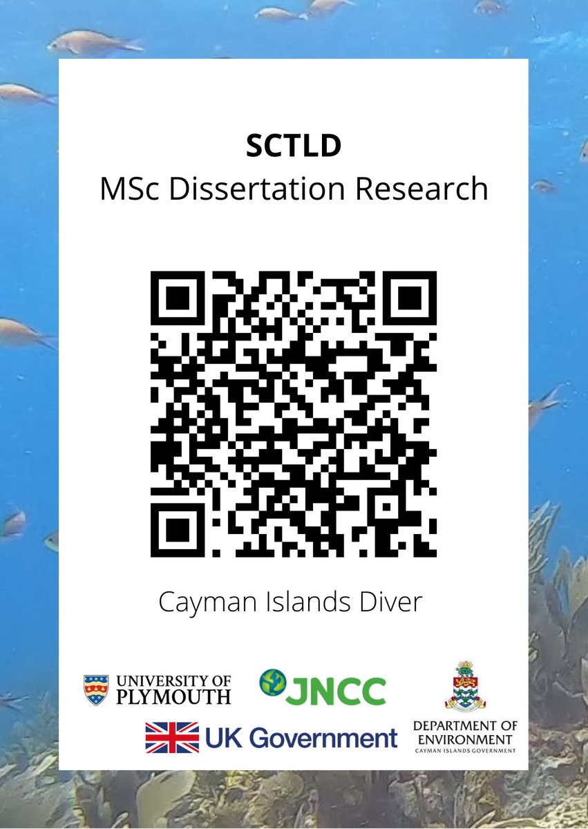 OceanStateSteph's tweet photo. Speaking of my dissertation! I'm wrapping up my final data collection, but there's still time to get involved. If you're a dive operator or diver in Cayman, please take my survey: https://t.co/Qdhx1YRNSh https://t.co/favPJsVTBE