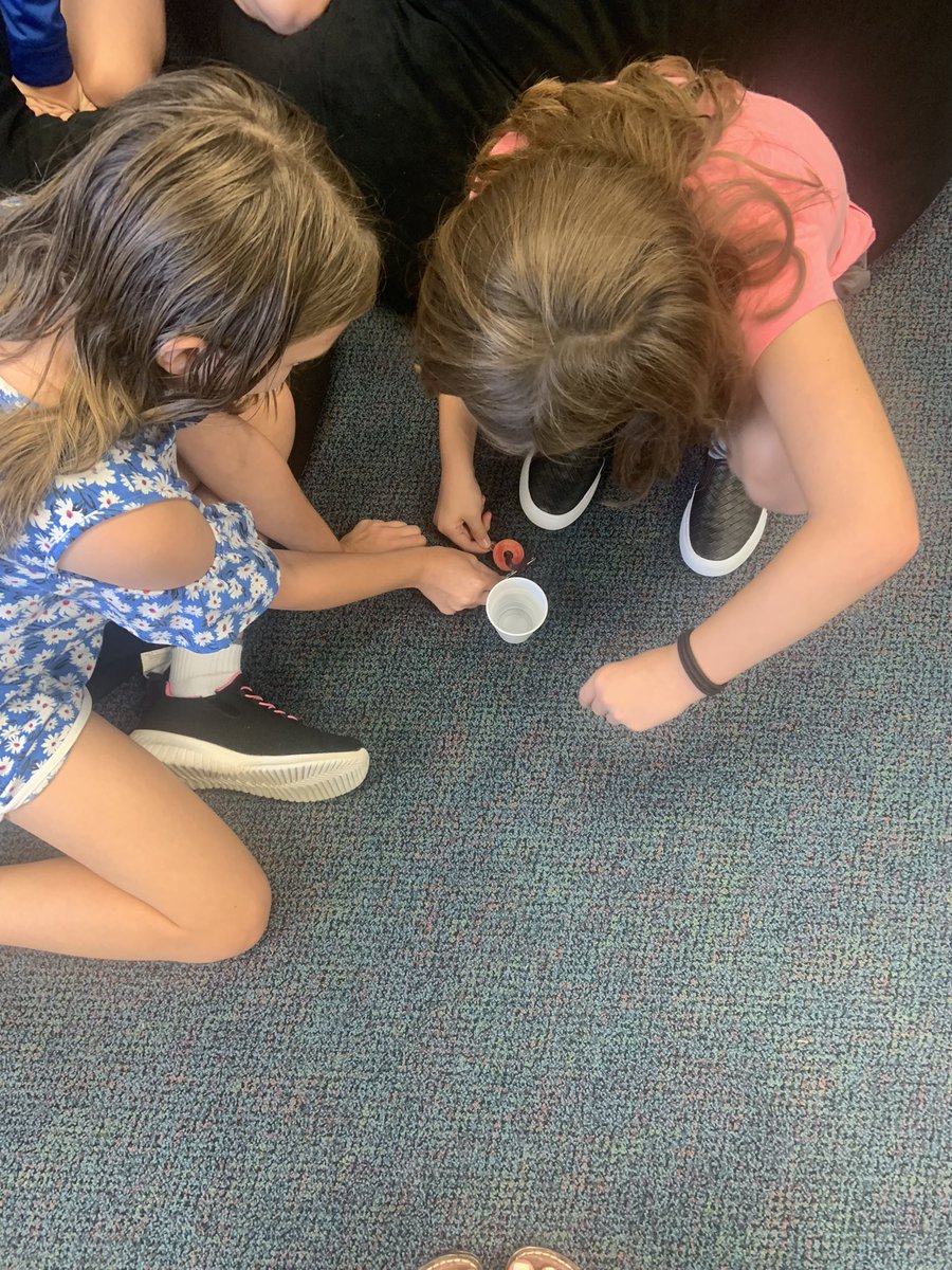 MrsSchusterMPS's tweet photo. SAVE FRED!! These fourth graders LOVED practicing their communication and teamwork skills in this fun challenge! #Proud2bMPS #MavericksMoveMountains @MPS_Morton @MalonePrincipal https://t.co/fyJwX1eSr8