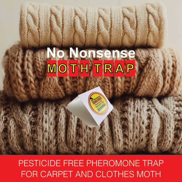 RugRemedy's tweet photo. RugRemedy UK - NEW PRODUCT!! Pheromone Moth Traps - https://t.co/Rh1g0CUWm2 https://t.co/lFDMmnW1ej