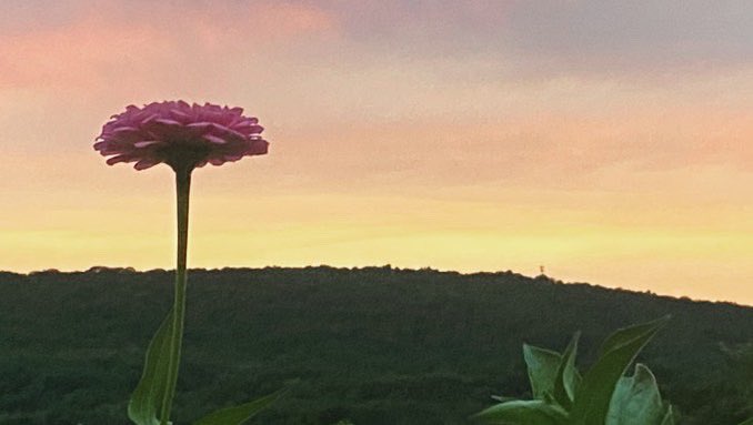 Check out these bucolic photos from our August Writer Retreats! Hypokrit AD Arpita Mukherjee went to the mountains with frequent collaborator Sharbari Ahmed to dive deep into an exciting, to-be-announced project and then spent a few days with composer/writer Aya Aziz.