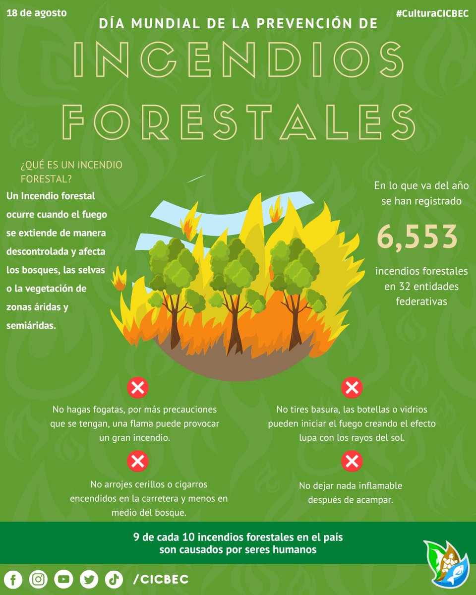 CICBEC1's tweet photo. #Undíacomohoy, celebramos el día mundial de la prevención de incendios forestales. Cuidemos nuestro planeta, seamos responsables de nuestras acciones. 🌎🌳🔥

#CuatroCienegas #CICBEC #IncendiosForestales #CuidemosElPlaneta #CuidadoDelMedioAmbiente #PrevenciónDeIncendios https://t.co/UQk456UFJG