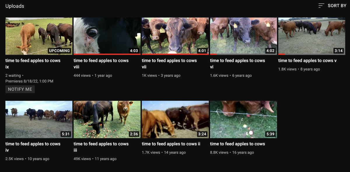 I have been following a mysterious youtube channel that only uploads videos called "time to feed apples to cows" on the exact same date every OTHER year for going on 16 years. The 9th installment premieres in 4 hours youtu.be/WlFg93mZPXk