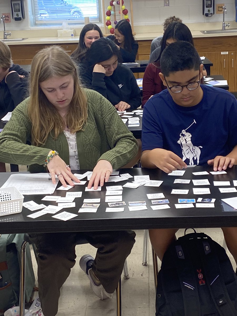 MrsWest_DCMS's tweet photo. Card sorts help students categorize concepts. https://t.co/WHVDsBuVAq